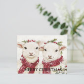 Carte Postale Deux mignons moutons (Debout devant)