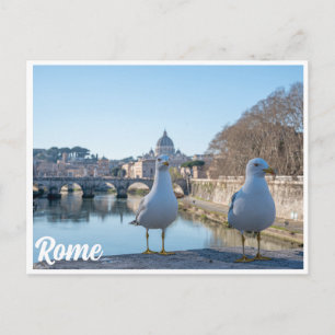 Carte Postale Deux mouettes dans le cadre époustouflant de Rome