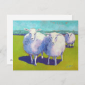 Carte Postale Deux Moutons En Champ (Devant / Derrière)