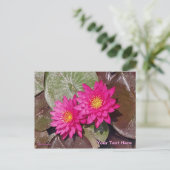 Carte Postale Deux nénuphars roses (Debout devant)