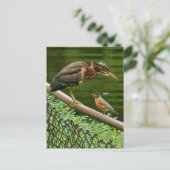 Carte Postale Deux oiseaux (Debout devant)