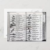 Carte Postale Deux pages de 'Orbis Sensualium Pictus' (Devant / Derrière)