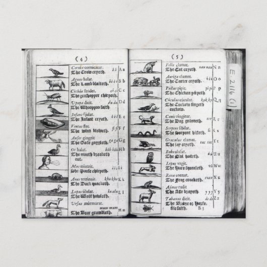 Carte Postale Deux pages de 'Orbis Sensualium Pictus' (Devant)