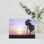 Carte Postale Deux palmiers (Debout devant)