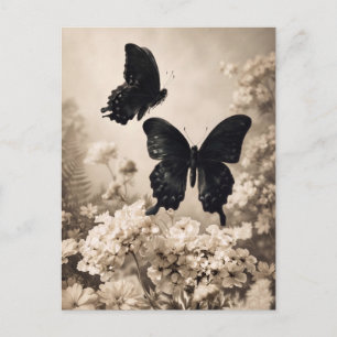 Carte Postale Deux papillons noirs volant au-dessus de fleurs