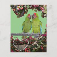 Deux perroquets verts Coeur de fleurs do-it-yourse
