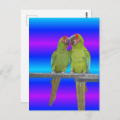 Carte Postale Deux perroquets verts coucher de soleil do-it-your (Devant / Derrière)
