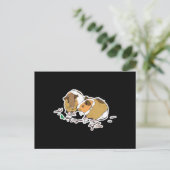 Carte Postale deux petits cochons d'Inde (Debout devant)