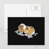 Carte Postale deux petits cochons d'Inde (Devant / Derrière)