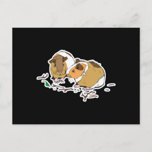 Carte Postale deux petits cochons d'Inde