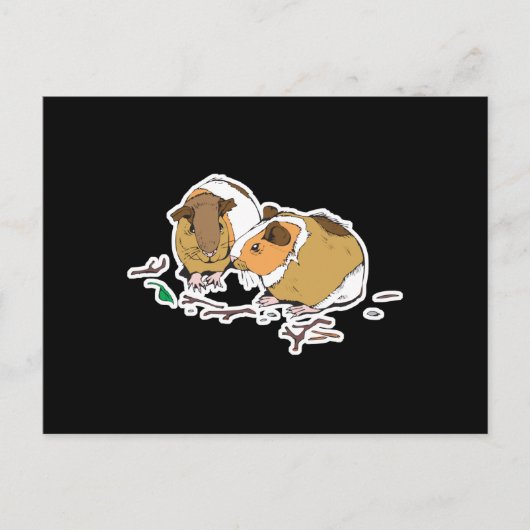Carte Postale deux petits cochons d'Inde (Devant)
