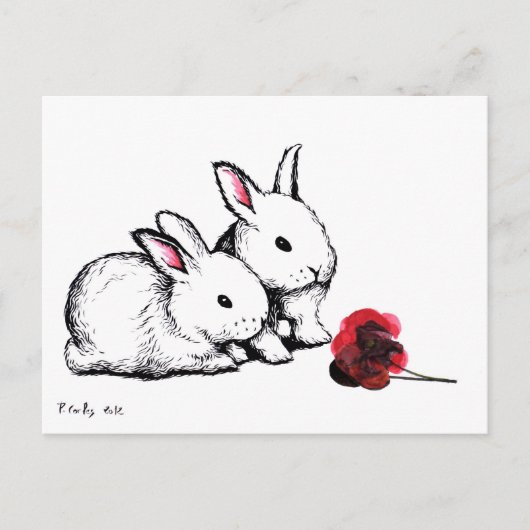 Carte Postale Deux petits lapins blancs (Devant)