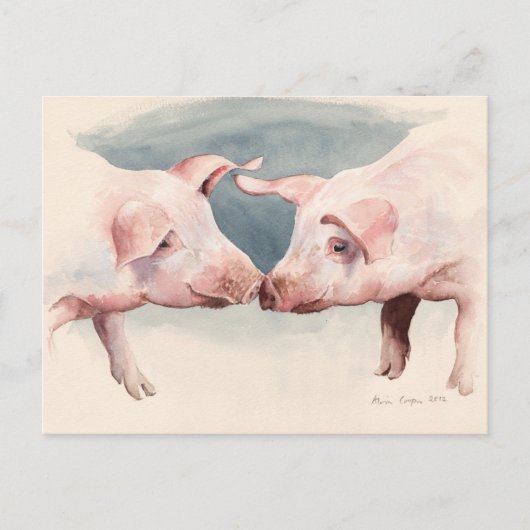 Carte Postale Deux peu de Piggies 2012 (Devant)