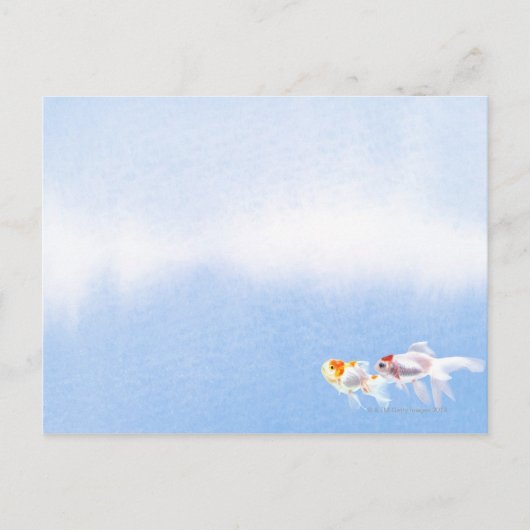 Carte Postale Deux poissons rouges (Devant)