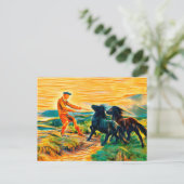 Carte Postale Deux poneys Shetland dans un paysage brumeux (Debout devant)