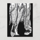 Carte Postale Deux pour Tango (Devant)