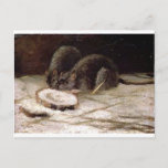 Carte Postale Deux rats par Vincent van Gogh<br><div class="desc">Belles images 'réalistes' d'artistes légendaires</div>