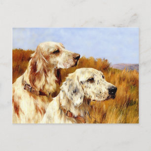 Carte postale : Deux réglages par Arthur Wardle