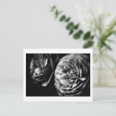 Carte Postale deux roses (Debout devant)