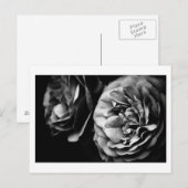 Carte Postale deux roses (Devant / Derrière)