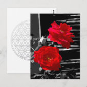 CARTE POSTALE DEUX ROSES ROUGES (Devant / Derrière)