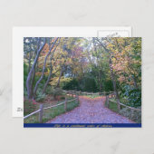 Carte Postale Deux routes (Devant / Derrière)