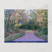 Carte Postale Deux routes (Devant)