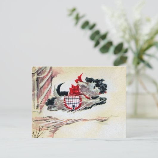 Carte Postale Deux Scotties (Debout devant)