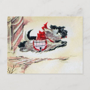 Carte Postale Deux Scotties