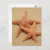 Carte Postale Deux Starfish à sucre (Devant / Derrière)