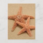 Carte Postale Deux Starfish à sucre (Devant)
