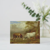 Carte Postale Deux taureaux avec cornes verrouillées, 1653 (Debout devant)