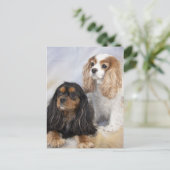 Carte Postale Deux Teckels Cavalier King Charles (Debout devant)