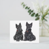 Carte Postale Deux Terriers écossais noirs (Debout devant)