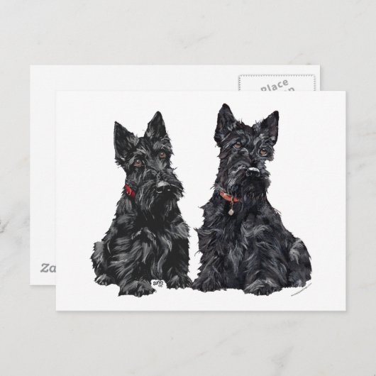 Carte Postale Deux Terriers écossais noirs (Devant / Derrière)