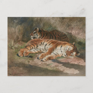Carte Postale Deux tigres recyclés (1887)