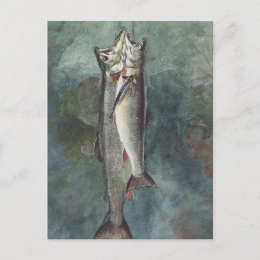 Carte Postale Deux Truites (Devant)