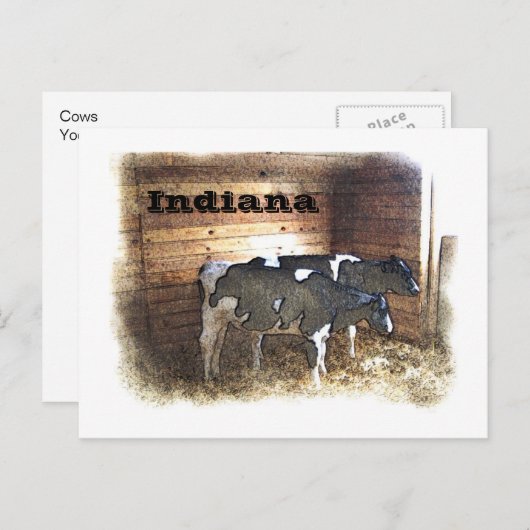 Carte Postale Deux vaches (Devant / Derrière)