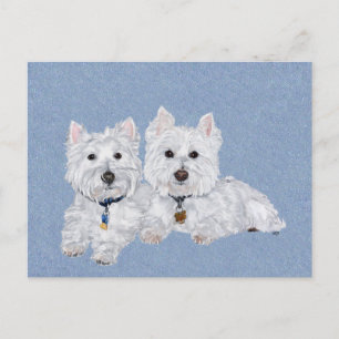 Carte Postale Deux Westies