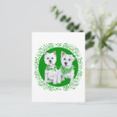 Carte Postale Deux Westies assis à la Saint-Patrick (Debout devant)