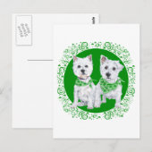 Carte Postale Deux Westies assis à la Saint-Patrick (Devant / Derrière)