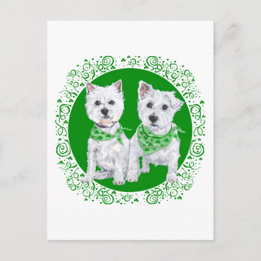 Carte Postale Deux Westies assis à la Saint-Patrick (Devant)