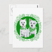 Carte Postale Deux Westies assis sur le Jour de la Saint Patrick (Devant / Derrière)