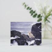 Carte Postale Déversement de pétrole de Pribilof Island, M/V Cit (Debout devant)