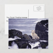 Carte Postale Déversement de pétrole de Pribilof Island, M/V Cit (Devant / Derrière)