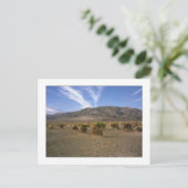 Carte Postale "Devils Cornfield" (Debout devant)