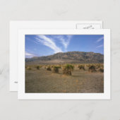 Carte Postale "Devils Cornfield" (Devant / Derrière)