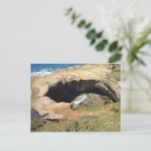 Carte Postale Devil's Punchbowl, Côte de l'Oregon (Debout devant)