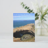 Carte Postale Devil's Punchbowl & Otter Rock, OU (Debout devant)