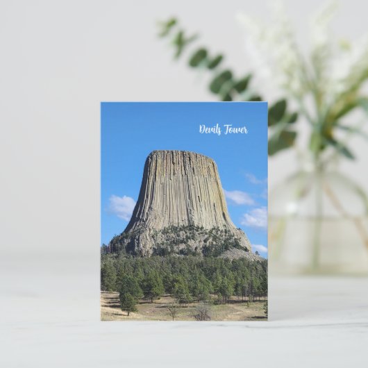 Carte Postale Devils Tower (Debout devant)